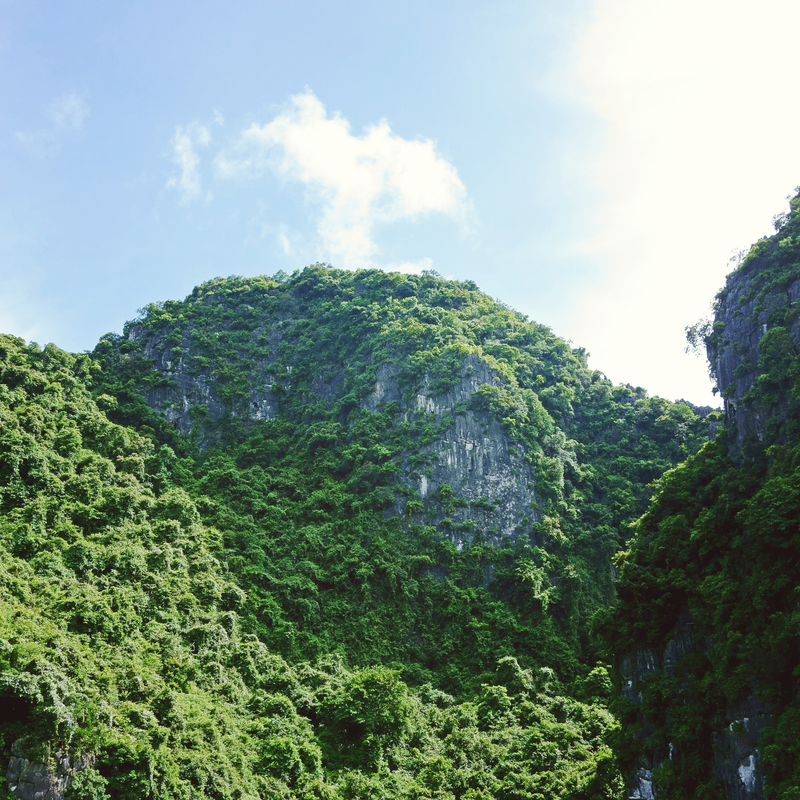 Die vergessene Seite in der Klimapolitik: Das Grüne Paradoxon im Lichte von Hotelling und Solow-Stiglitz