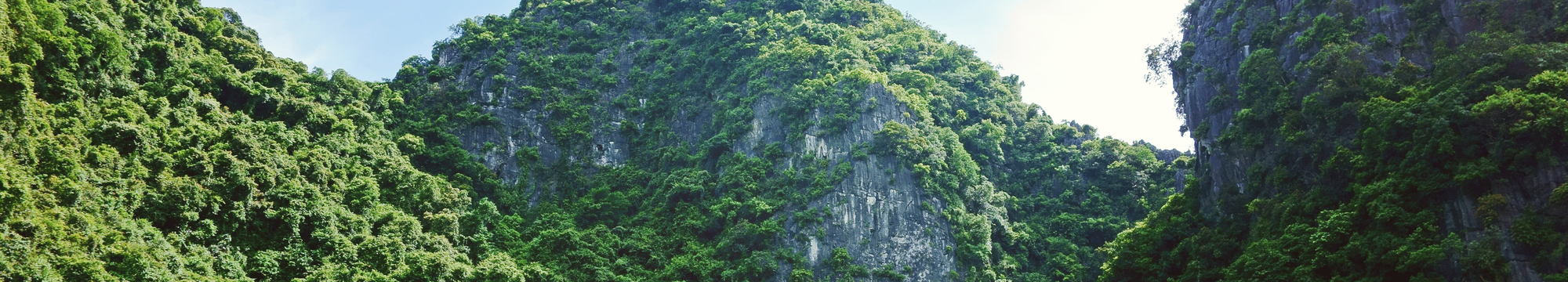 Die vergessene Seite in der Klimapolitik: Das Grüne Paradoxon im Lichte von Hotelling und Solow-Stiglitz