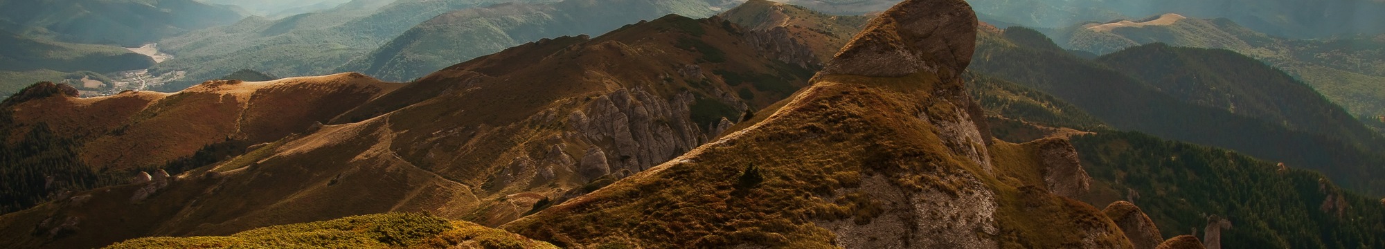 Hirnmetastasen und systemische Therapie, Meningeosis carcinomatosa