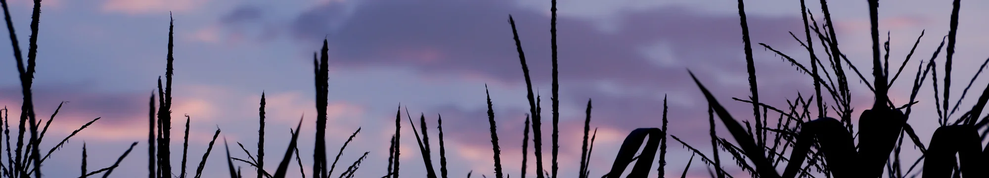 JOSHA – Table of Contents Volume 2 Issue 2