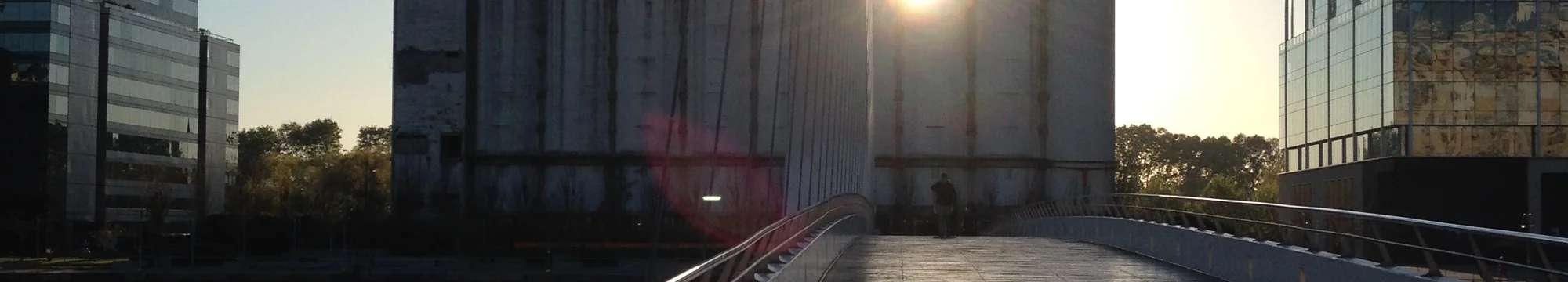 International Cooperation and Mentoring: An Academic Obligation? The Latin American Perspective: Argentina