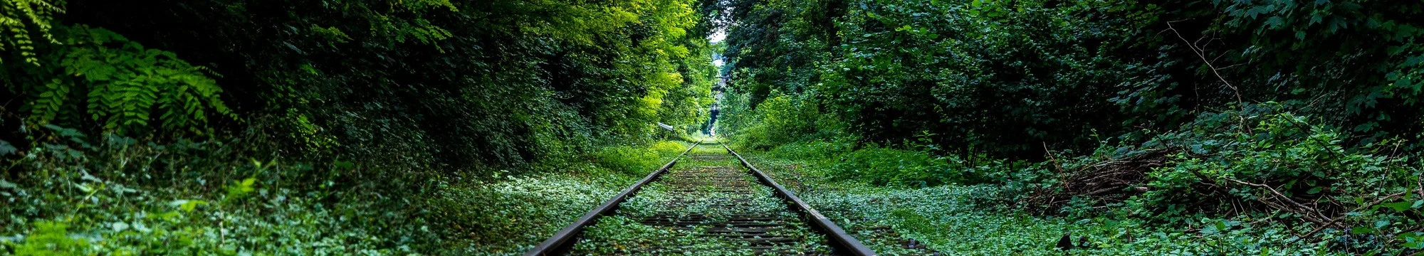 JOSHA – Table of Contents Volume 2 Issue 3