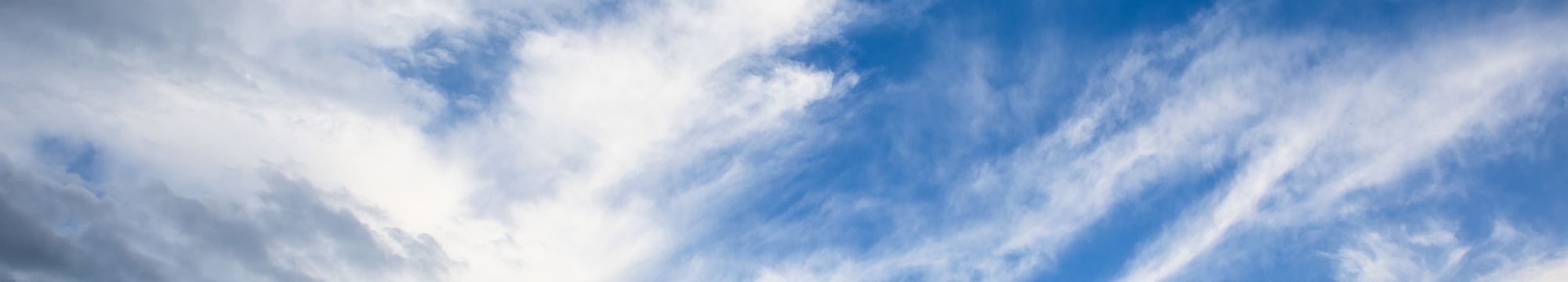 Analysis of the Dopaminergic Systems Development and Function by Targeted Genome Editing