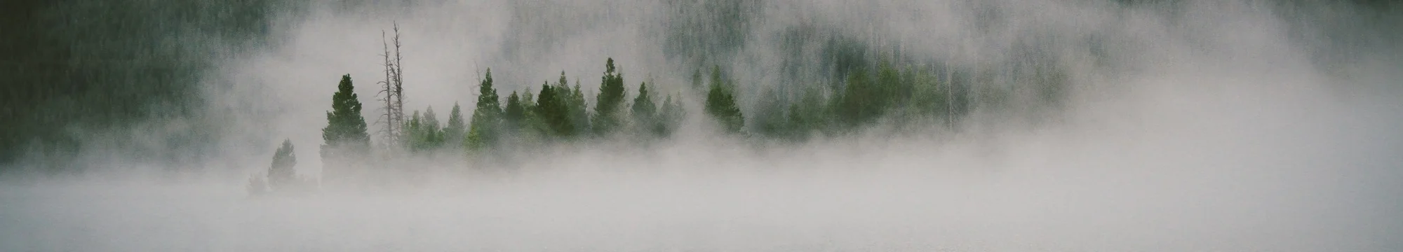 THE IMPACT OF DIFFUSION ON BIOCHEMICAL ASSAY KINETICS IN 3D-HYDROGEL MICROARRAYS