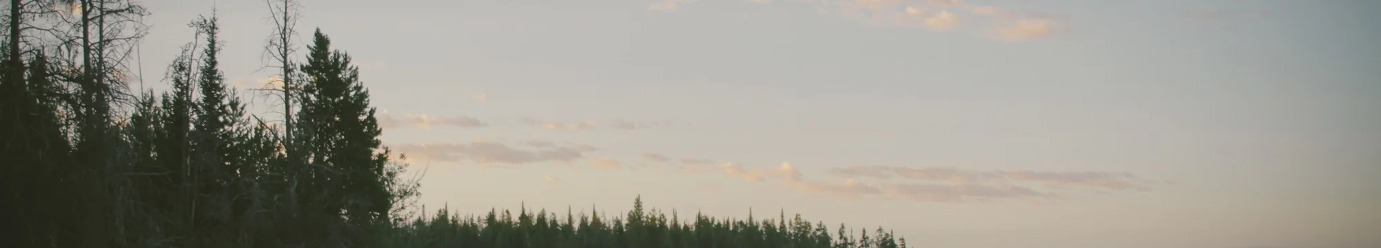 Growth hormone (GH) modulation of Epidermal growth factor (EGF) signalling in human mammary epithelial cells