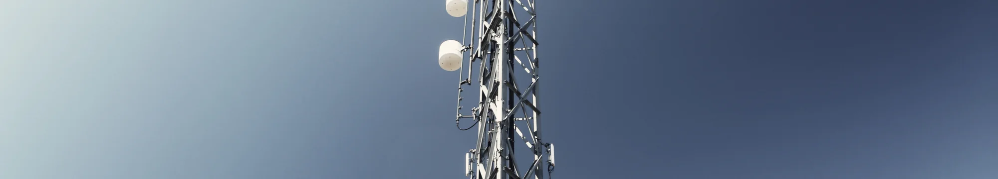 JOSHA – A World of Reading