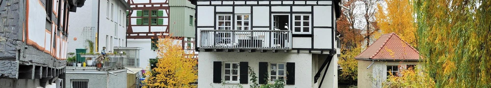 International Patent Regimes and Access to Medicines: Is the Health Impact Fund an Effective Solution?