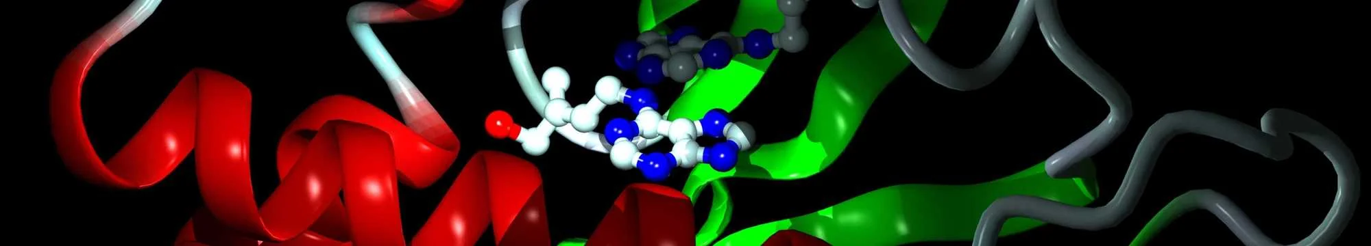Bioinformatic Studies on Buffalo Prolactin Derived Anti-Angiogenic Peptide
