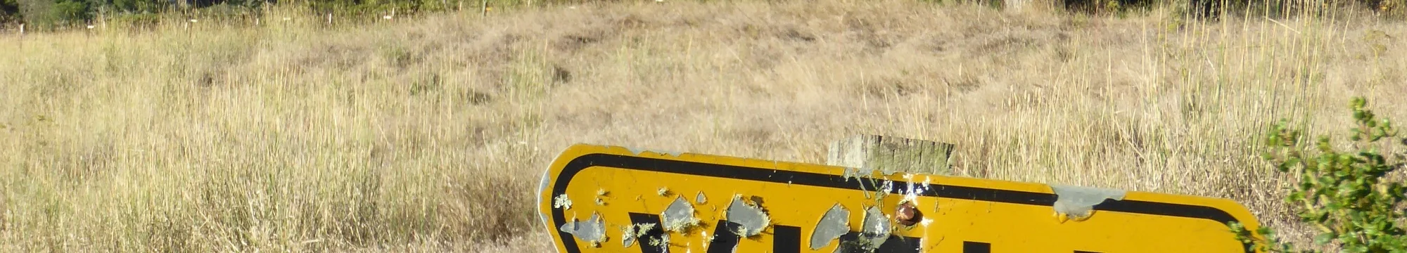 Deep art-science collaborations: the mother of invention