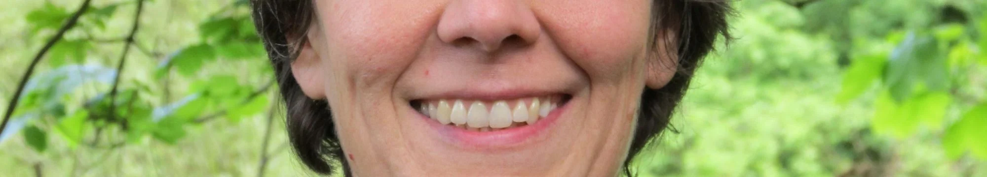 Rechenwelten. Computersimulationen machen komplexe Systeme greifbar Mathematical worlds. Computer Simulations allow to comprehend complex systems