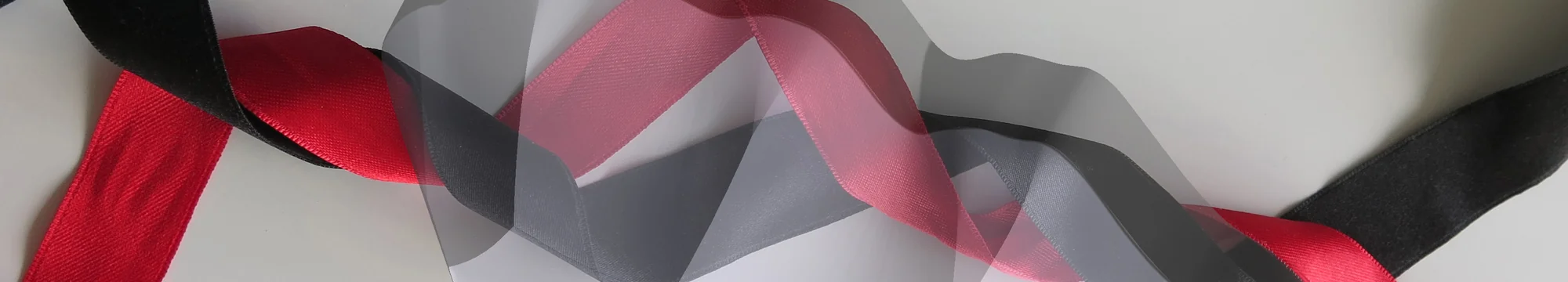 Homologous recombination: Single-molecule experiments and their lessons for the in vivo situation