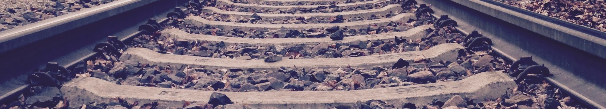 ‘Structure, Image and Ideas at play’: A revisitation into the select Medical thrillers from a Grotesque lens