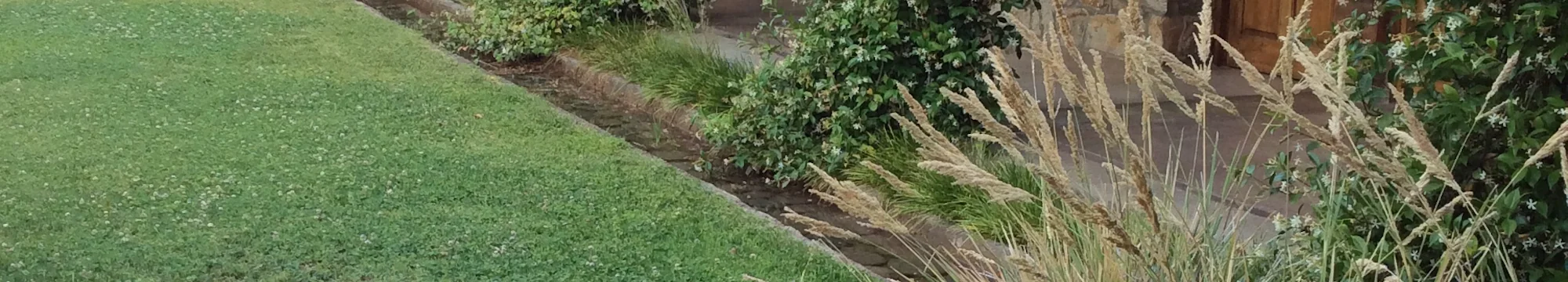 The „reasonable reason“ in the German Animal-Protection-Statute (Tierschutzgesetz) – at the same time a commentary on the chicken-decision of the Oberverwaltungsgericht NRW