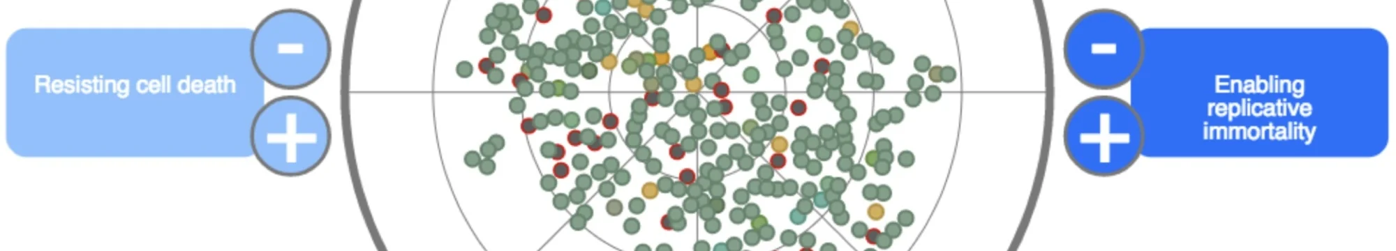 Towards Simulating Carcinogenesis: Modeling and Simulating Carcinogenesis, Hematopoietic Tissue Homeostasis and Leukemogenesis