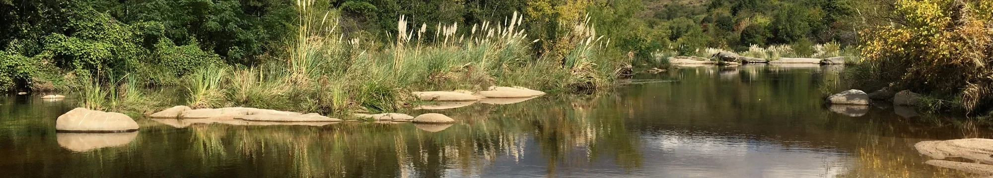 The Role of Community-Based Agricultural and Rural Development Programme in Poverty Reduction in Bursari Local Government Area of Yobe State, Nigeria: 2005-2009