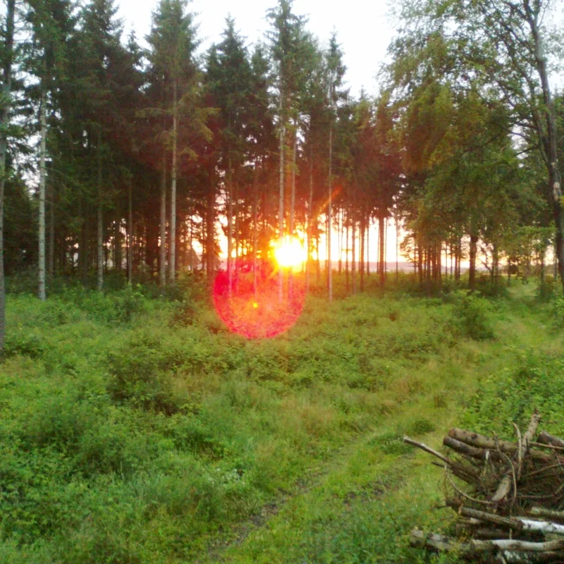 International Academy of Sciences, Humanities and Arts e.V. – Annual Report 2016