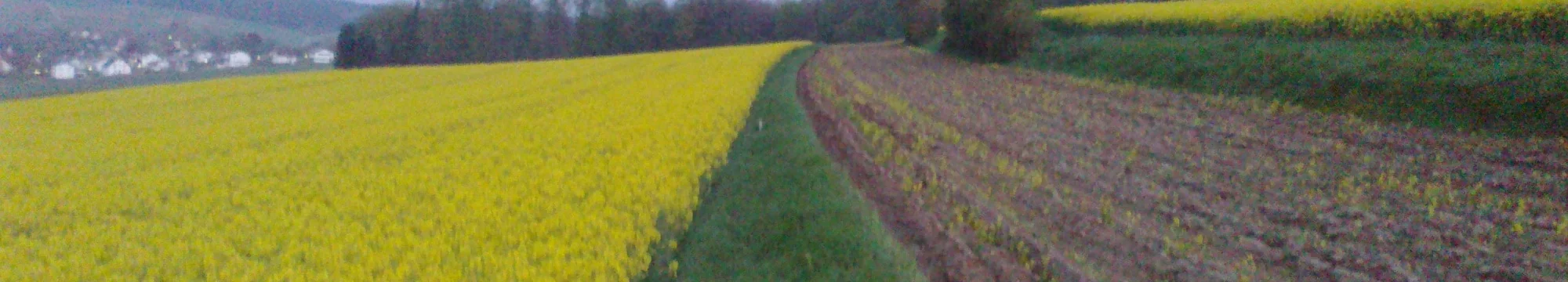 No idea of risk: Expensive environmental and health panic. Keine Ahnung von Risiko: Teure Umwelt- und Gesundheitspanik.