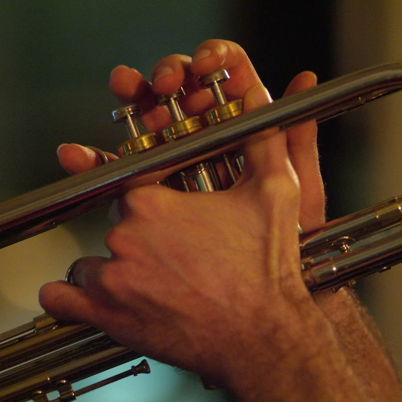 Il Linguaggio Be-Bop e gli Accordi di Settima di Prima Specie [The Be-Bop Language and The Dominant Seventh Chords]