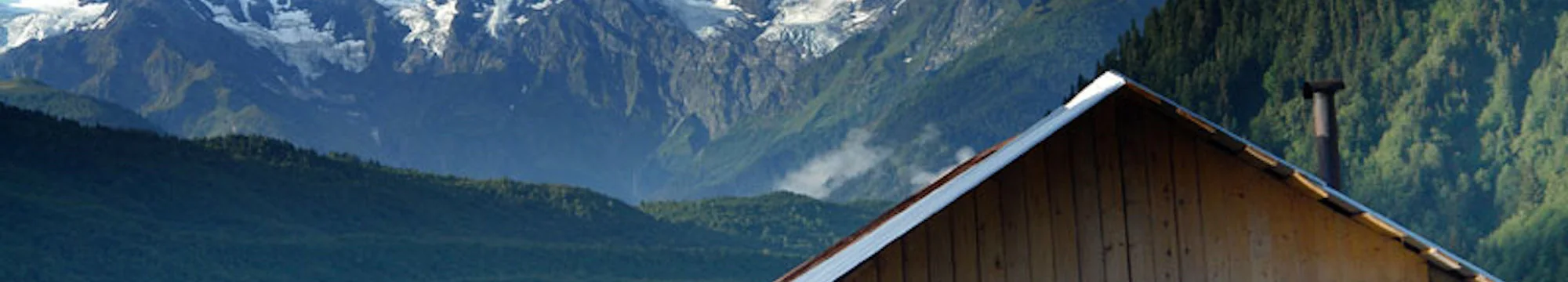 The JOSHA Demetrios Project: – ქართული