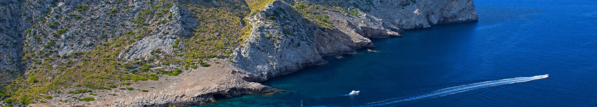 JOSHA’S CRITICAL REVIEW OF “GENE THERAPY IN PATIENTS WITH TRANSFUSION-DEPENDENT β-THALASSEMIA” BY A.A. Thompson et al. N Engl J Med 2018; 378:1479- 1493.