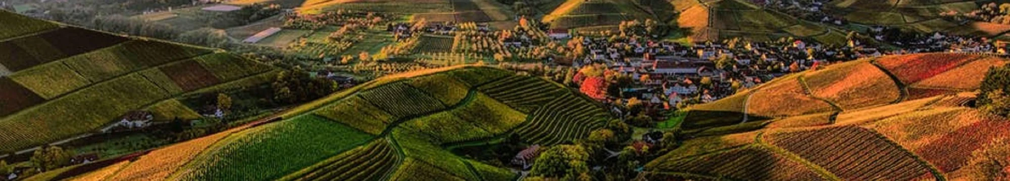 JOSHA Demetrios Project. Rätoromanisch.