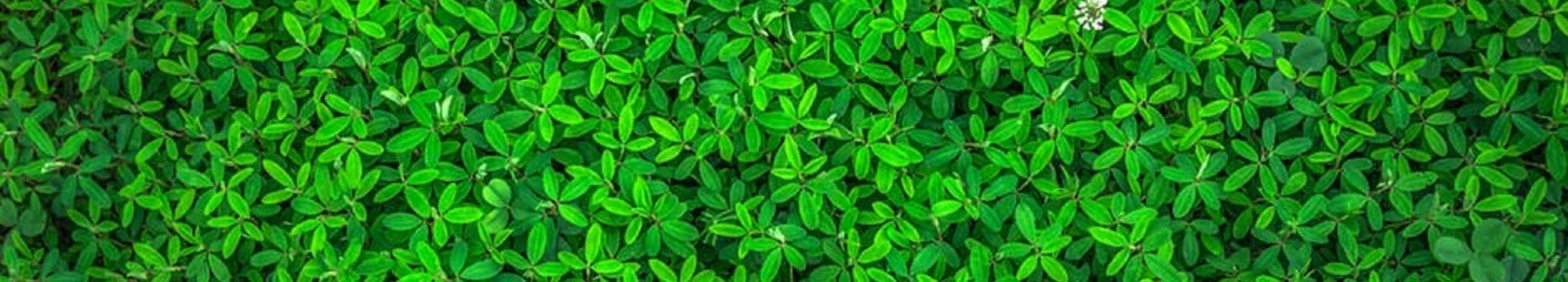 JOSHA`s Critical Review of: “Systematic reanalysis of clinical exome data yields additional diagnoses: implications for providers”: IS THERE A NEED FOR “RECALL” IN CLINICAL MEDICINE?