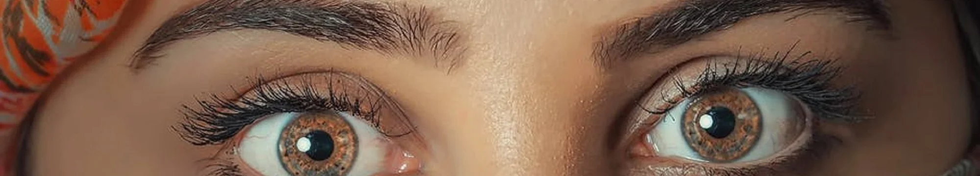 Demetrios Preis 2018: “Activist, Politician, Intellectual – Zahrā Rahnavard and the Women’s rights in Iran since the 20th Century”