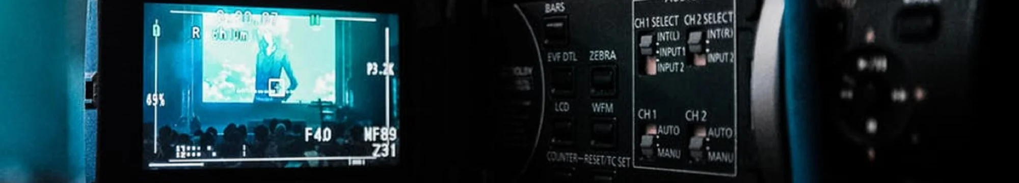 Convulsive desires: Characters in the filmography of Jan Švankmajer in relation to the Freudian death drive