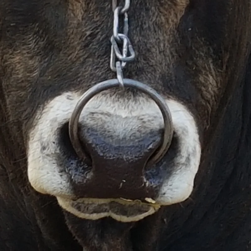 Scientific Europe Turns Into a Fair Mode: Open Access Journals Reducing The Cost of Knowledge