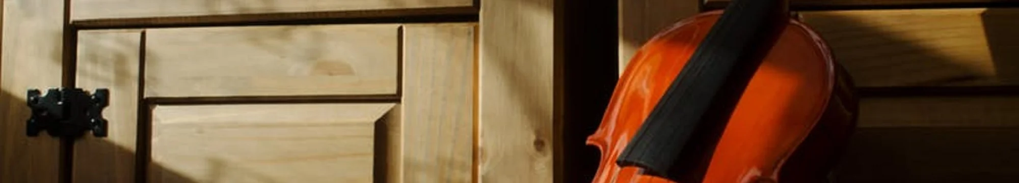 BIO-SIEL for the classical?