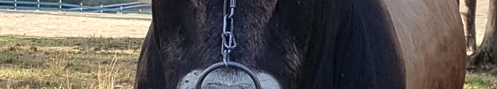 Knowledge That is Not Communicated is Wasted: JOSHA – Open Access With Author Copyright