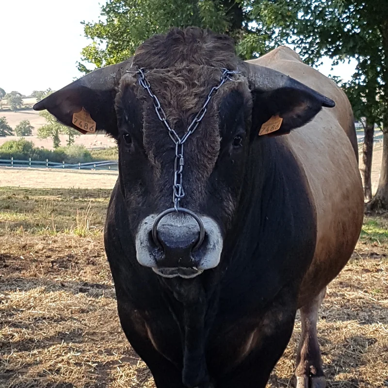 Knowledge That is Not Communicated is Wasted: JOSHA – Open Access With Author Copyright