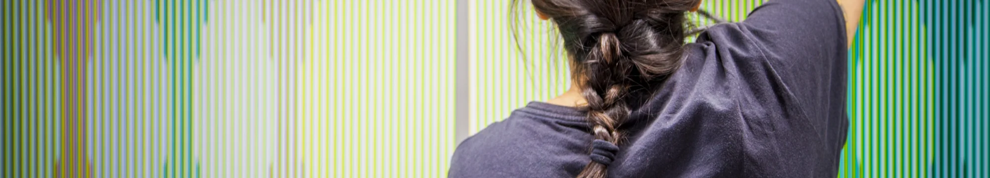 Cruz-Diez: El surgimiento de una familia – Rise of a family.