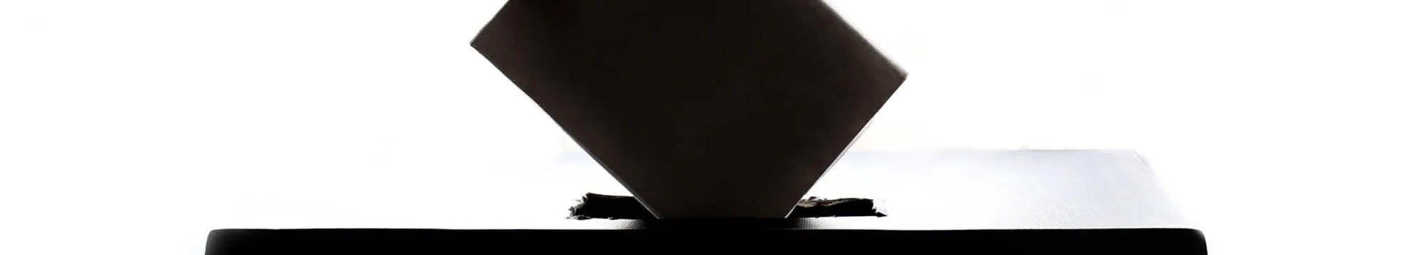 Between Military Resistance and Democratic Consolidation Epochs: Is Nigeria’s Civil Society Still Vibrant or Docile?