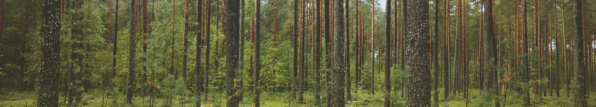 Normative model of special relations. Moral justification of ancillary care obligations towards subjects participating in clinical research.