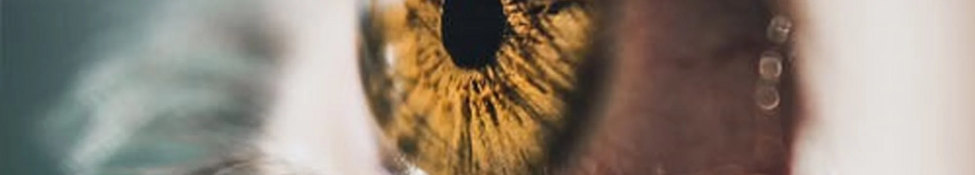 Harnessing knowledge AND clinical experience to improve patient care employing an electronic system analyzing non-structured medical records: The “SimRec” Software