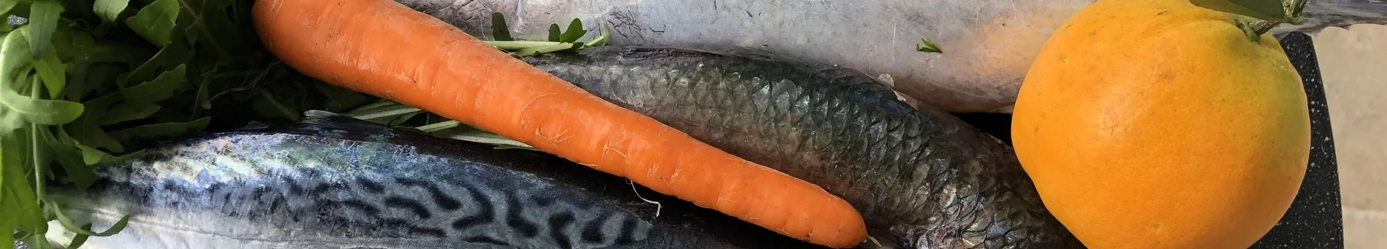 Fridays for Future: Environmental Sustainable Architecture Collection of Research Papers