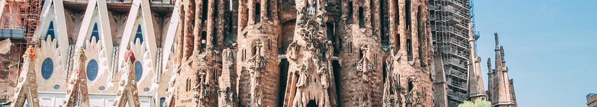 Alpha and Omega: from the Sagrada Familia to Placenta and Cancer