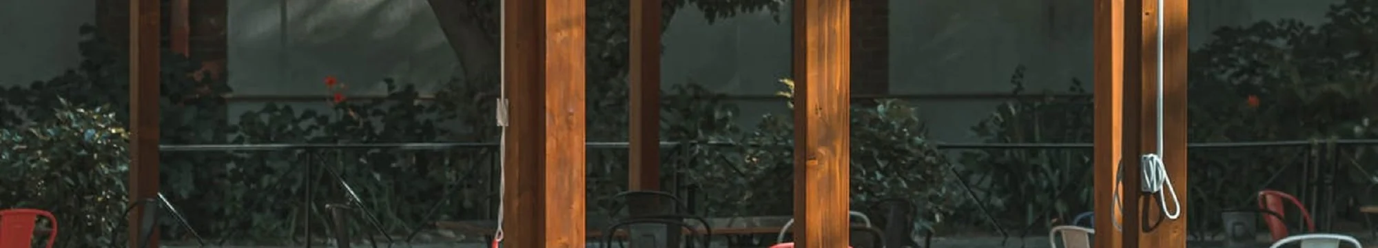 Pandemic SARS CoV -2 – a Romanian perspective. The perception of a septuagenarian doctor