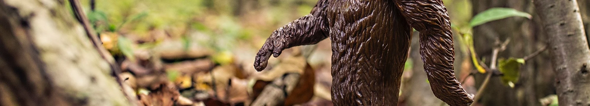 Das Ende der Evolution – The End of Evolution