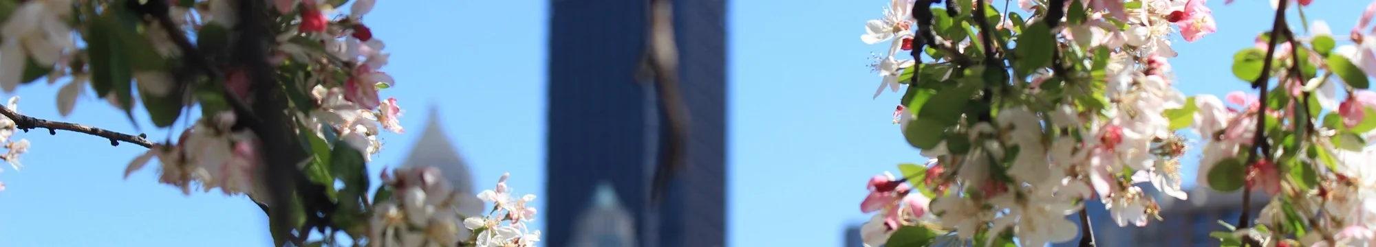 Juxtaposition of Immanuel Kant, Friedrich Nietzsche and Hannah Arendt´s Conceptions of Will: It´s ethical Implications