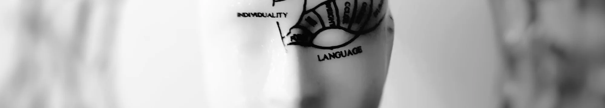 Señales Biológicas Cerebrales y Cognición – Biological Brain Signals and Cognition