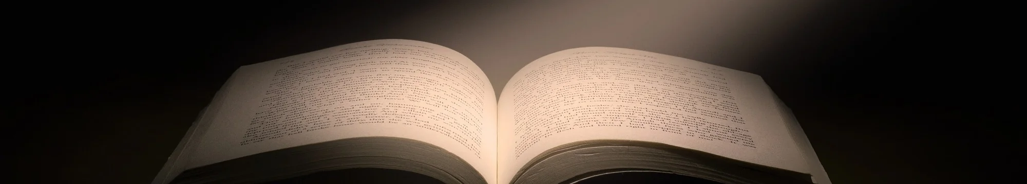 The First Century of Ulysses