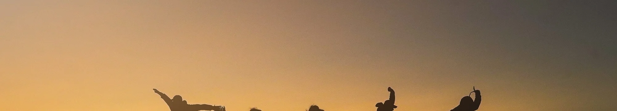 Helen Flanders Dunbar: The Unfinished Pursuit of Unity