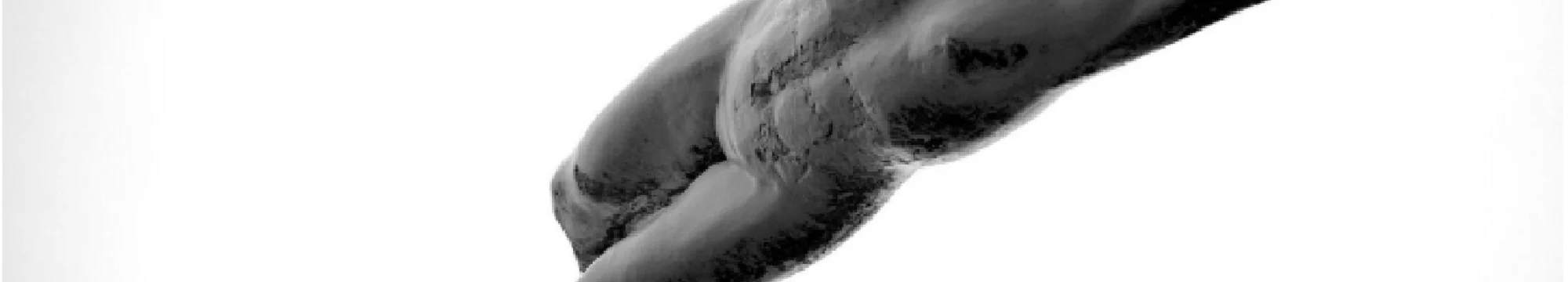 Das Regime des nackten Überlebens The Regime of Bare Survival