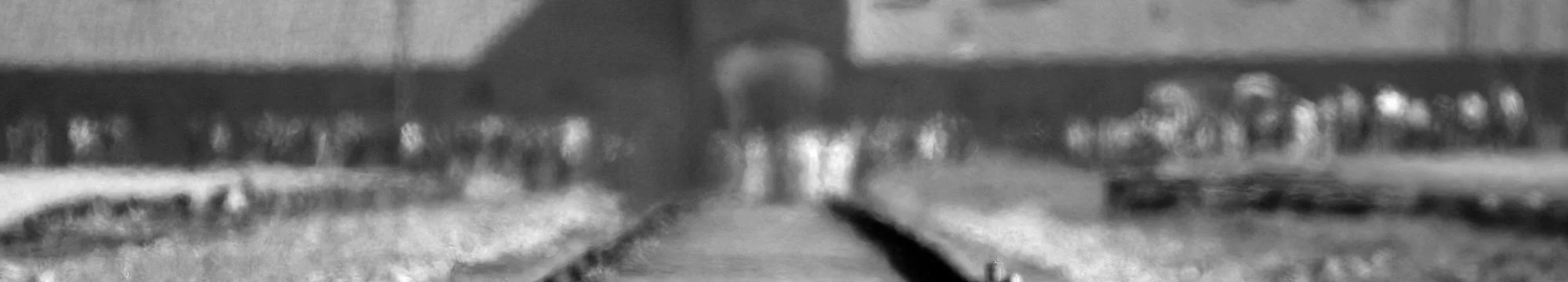 GENOCIDE: From the Second Empire’s Namibia, to the Third Reich’s Birkenau