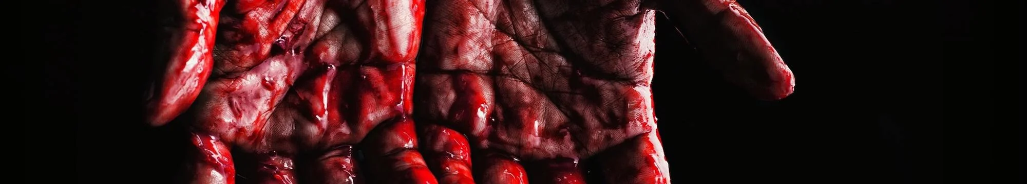 Timothy McVeigh: Portrait of a Political Mass Murderer