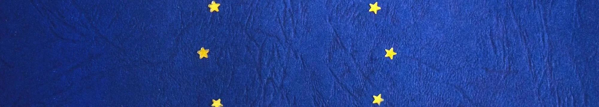 EU Blue Book Traineeship Report