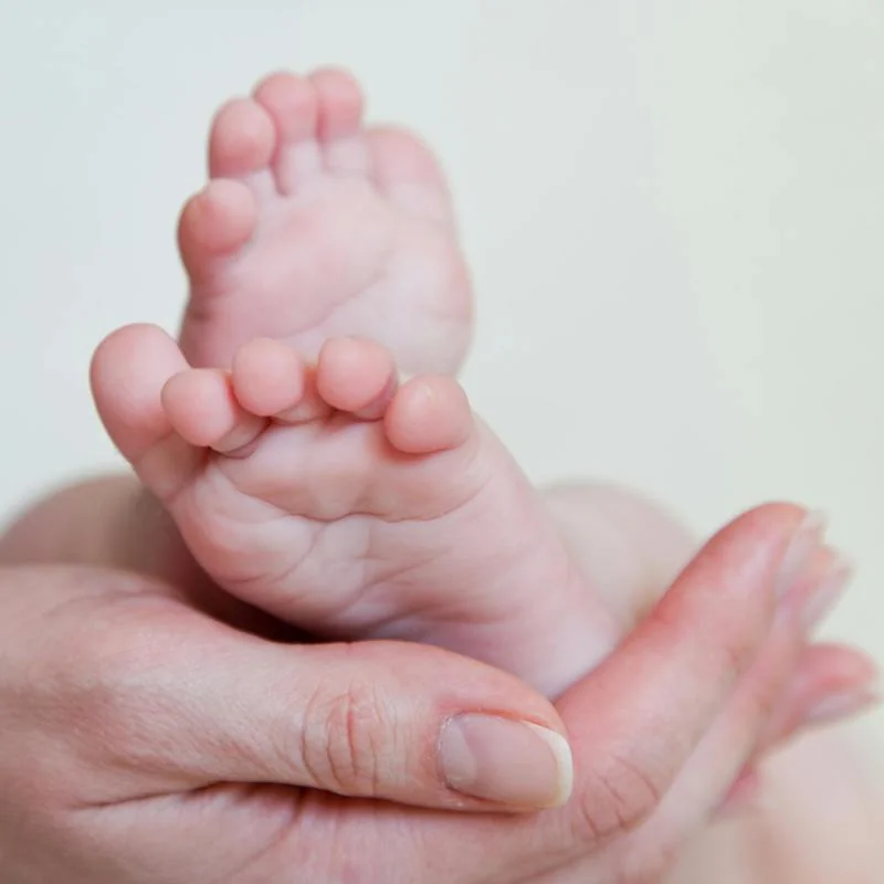 A Literature Review of Alexithymia and the Mother-baby Bond – Alexitimia e Vínculo Mãe-Bebê: uma Revisão de Literatura