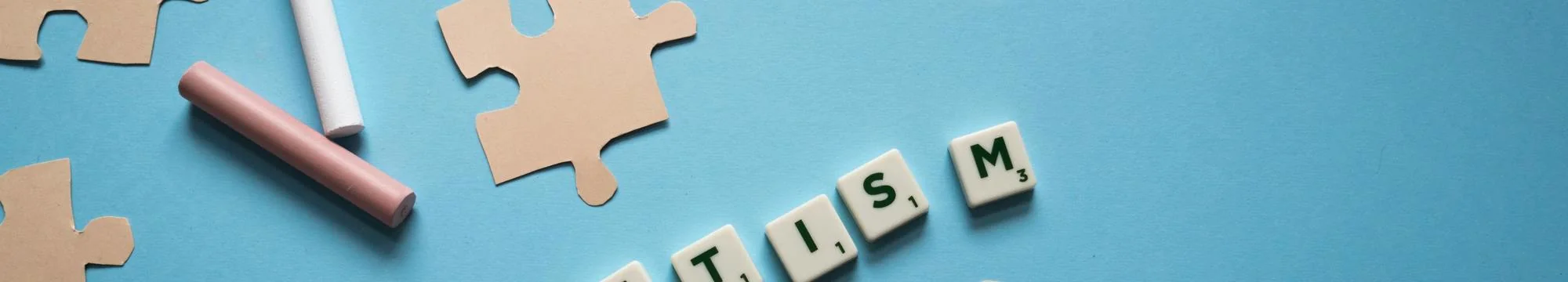 JOSHA’s Critical Review of “Within the Walls of the School: Reflections on the Inclusion of Individuals with Autism in Educational Settings” by Rosiana Silva da Silva et al.